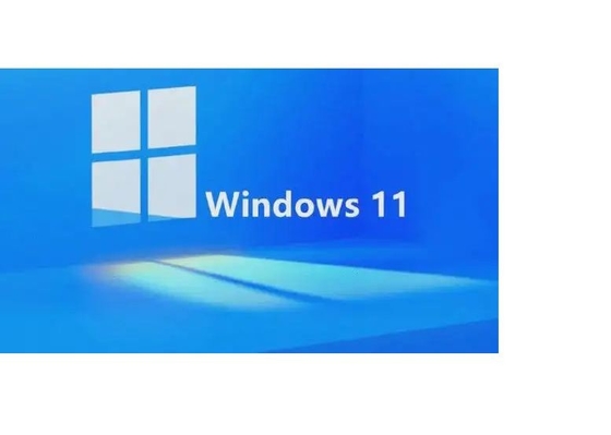 Windows 11 Pro 1 PC ライセンスのアクティベーション キー オンライン アクティベーション Win 11 Pro Coa ステッカー